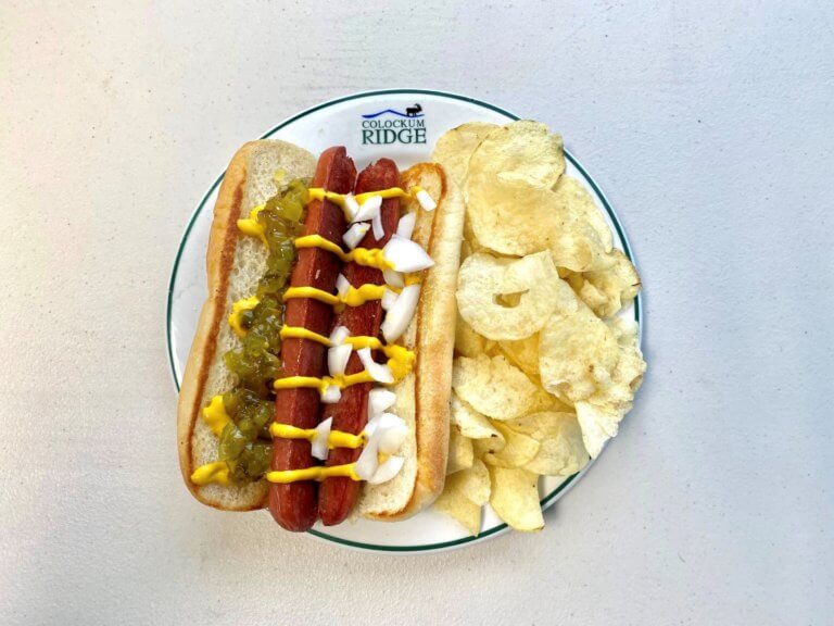 Hot dog with mustard, relish, onions, and chips