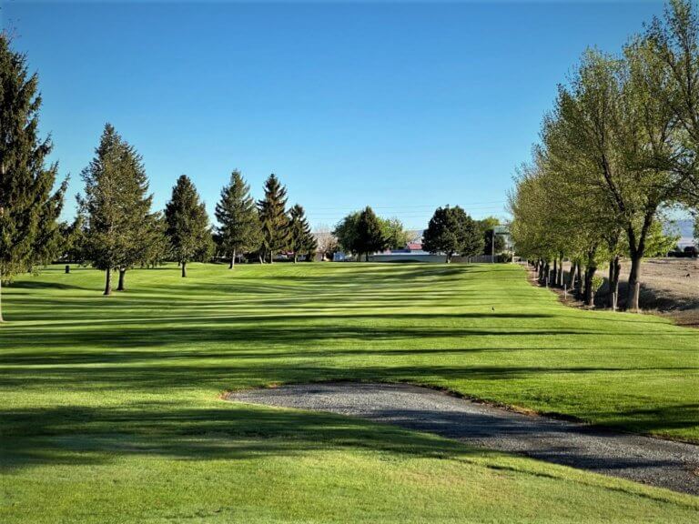 Fairway lined with trees on a sunny day